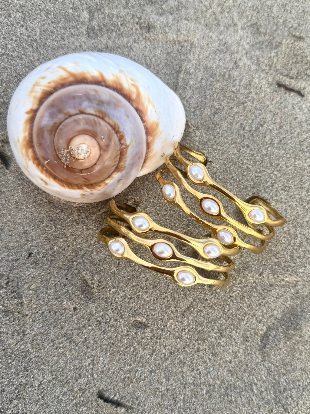 Seashell Drop